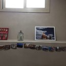 완도네시아 이미지