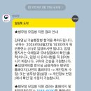 스테이 피치스 | 서울 여행.
