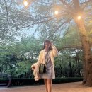 애드넛 | 26년 4월 4주