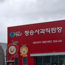 경북 청송 사과유통센터직판장 방문 후기 🍎