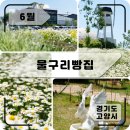 여기빵집 - 광산구 첨단중앙로 126 | 여기빵집