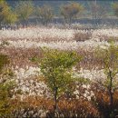 줄포만갯벌생태공원 이미지