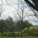 주식회사 스타일비투비 | [🇮🇪 아일랜드 워홀] D+273~277 | Happy Birthday and Easter 🌸🥚