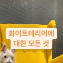 하이랜드공인중개사사무소 이미지