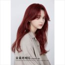 윤서희헤어 네이버블로그