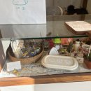 제주삼각집 이미지