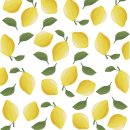 레몬의 꿈 이미지