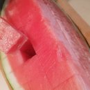 표씨농장 이미지