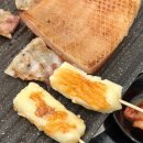 도니조아 이미지