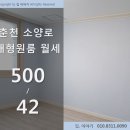 춘천세무서 이미지