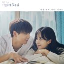 유예라 티브이데일리