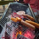 청도강변돌고래펜션 이미지