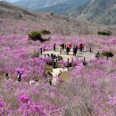 다대1동-4 이미지