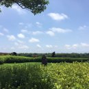 라온골프 이미지