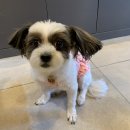 백씨네가든 이미지