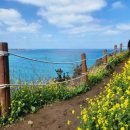 휴양펜션스위스마을 이미지