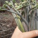 초촌농장 이미지