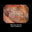 클린클리어 - 군포시 금산로 90-1 | 클린클리어
