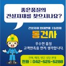대전비티아시바