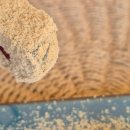 터미널방앗간 이미지