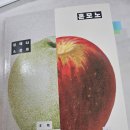 한길펜션 | [혼모노] 후기 下 | 사유의 미로 앞에서