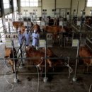 경진할인마트 이미지