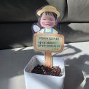 주원이네 해바라기 🧒❣️🌻 이미지