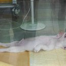 개편한세상 이미지