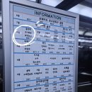 용인대SH복싱 이미지