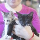 남매수산 이미지