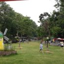 힐링독파크 이미지