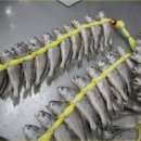 굴비한두름 이미지