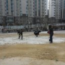 산남초등학교 이미지