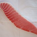 싱싱참치 이미지