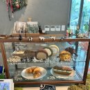 카페정거장 - 영등포구 영신로20길 2 | 파주 카페 [식물 정거장] 드립커피 맛집 식물 가득 힐링한 후기(주차 방법)