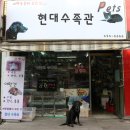 현대수족관 이미지