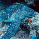 이아뷰 A | 여행에 미친 신혼부부의 2025 해외여행 연말결산