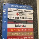 무브먼트 피트니스 | 성신여대번지피트니스 더센트럴무브먼트 초보번지수업후기