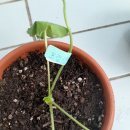 프럼스마일 이미지