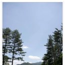 용평 버치힐골프클럽 이미지