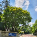 전문교육과정(아코디언) | 2026년 평화·통일·민주시민교육 전문강사 과정 교사반 후기 (8.3.~8.7. / 4박 5일)