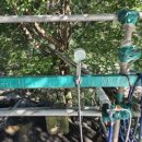 사지목나무그늘 이미지