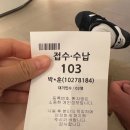 소중한일상 ㅣ다이소추천템ㅣ올리브영세일ㅣ다이어터ㅣ천연위고비식단후기