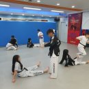 효태권도 이미지