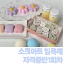 천연화장품 & 비누 | 포항 입욕제강사자격증반 후기 대구 비누공방 선생님과 함께한 소크아트 배쓰밤수업