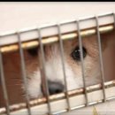 홍익약국 이미지