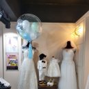 플로렌스헤어 이미지