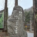 비로야영장 이미지