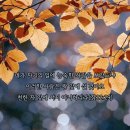 * ＜리더십＞ 시간과 재정의 흐름을 체크하기 - 조태성 이미지