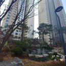 yes예스공인중개사사무소 이미지